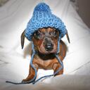 Melissa Ogg - @naturalogg - Twitter