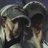Seuliii_'s profile image