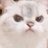 arisumimasen's profile image