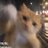 sbux_oo's profile image