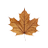 URIJIBUI's profile image