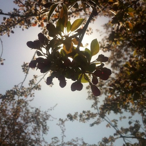 DanTheHessian's profile picture. 