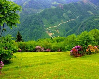 1987Mah's profile picture. مهندس زراعي دكتوراه في علوم الانتاج النباتي - البساتين - نباتات الزينه وتنسيق الحدائق (عضو في الهيئة السعوديه للمهندسين )