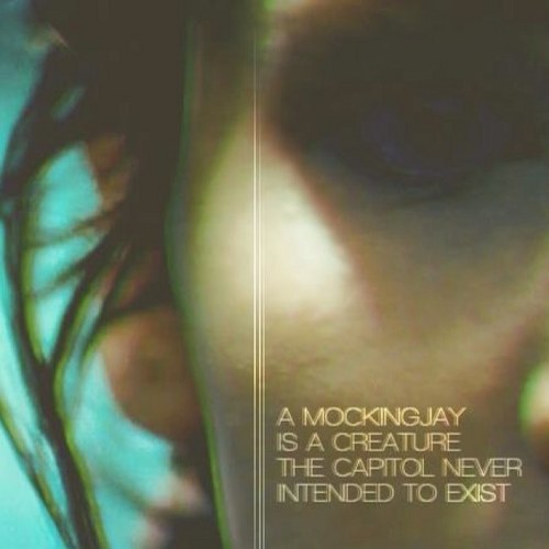 KatnissLovesHim's profile picture. I am Katniss Everdeen. I am seventeen years old. My home is District 12. I love Peeta. #TheHungerGames #PanemResistance