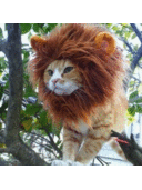 Imelda Juárez - @ImeJuarez - Twitter