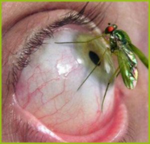 vejala's profile picture. 