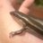 1Mq6LH7wWA6Tpg's profile image