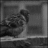 JaroslavaKuimov's profile image