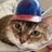 mlbpets's profile image