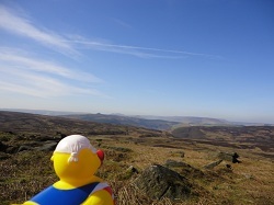 JCIDucky1's profile picture. I LOVE #Sheffield & @JCISheffield in equal measure. I'm a duck about town. Catch me tweeting about Steel City.