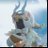 co2ilo's profile image