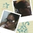 SwEet_NeSs125's profile image
