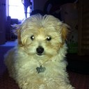 James Arundel - @ArundelJames - Twitter