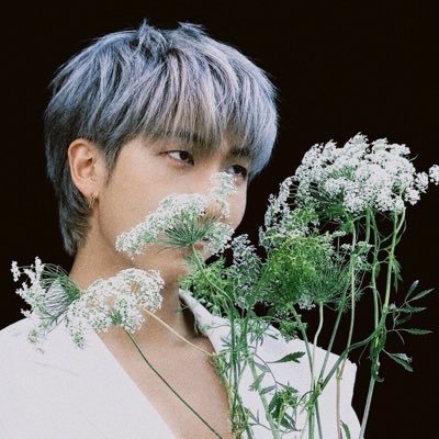 ⋆。°✩ my heart belongs to seven 𖧷