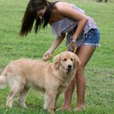 Amanda Douglas - @AmandaDouglas14 - Twitter