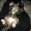 John Wickstrom - @Igloo1234 - Twitter