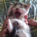 Jae - @JaeFoster - Twitter