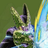 EvilCell_STR's profile image