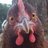 dhptweets's profile image