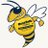 BuzzBallGT's profile image
