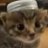 KiccatDog's profile image