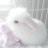 DavidMillecl2e's profile image