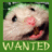 JuliannaSadykov's profile image