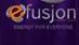 WebEfusjonTeam helps its members get their executive status.