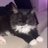 Tunnie44's profile image
