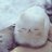 bludurluve's profile image