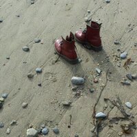 Jackie Carpenter (@jackiecarpenter) 's Twitter Profile Photo