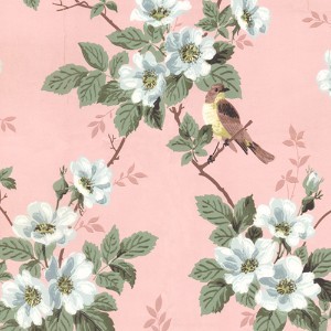 Collaboreight's profile picture. Beauty | Fashion | Books | TV&Movies | Music | Love&Dating | Food | Health& Fitness | The Collabor-eight is a collaborative blogazine by 8 feature writers!