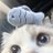 RobinsonKa35668's profile image