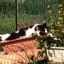 Laura Celli - @CelliLaura - Twitter