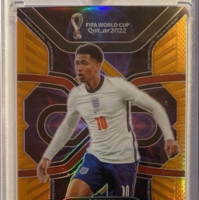 Electrician-Soccer card collector-Crypto holder-AI genius wannabe.