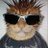 3llos8's profile image