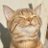 235wasimi's profile image
