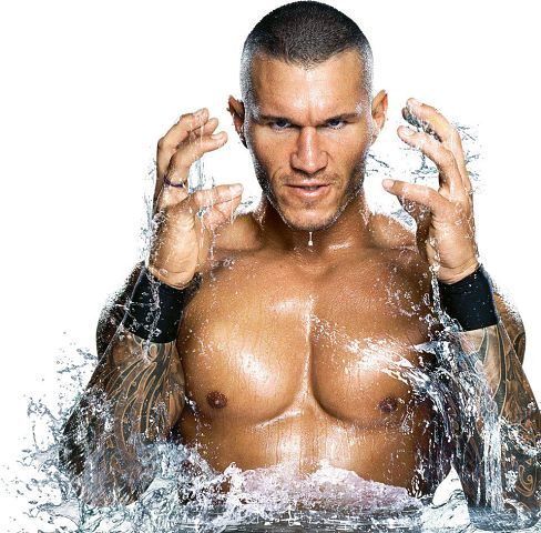 WWE FAN 1