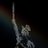 arminiuslab's profile image