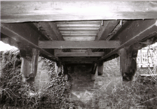 printerhead's profile picture. embryo, teen, mature: hard working, loud laughing, goal getting - on track!