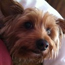 Elaine Corcoran - @elainecorcoran - Twitter