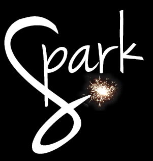 All it takes is a spark to start a wildfire...

We are a full service marketing company, specializing in social media!