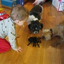 Emily Barry - @barry_eb - Twitter