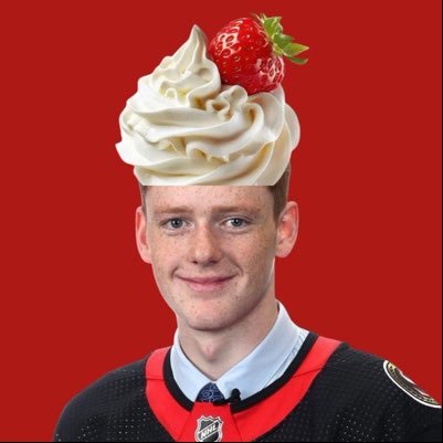 ೃ⁀➷ pr graduate by day, d1 rage baiter/hater by night but a 24/7 ottawa hockey yapper. 
#GoSensGo + #FullyCharged + #HoytStanleyForCalder