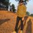 DeepakNaya4825's profile image