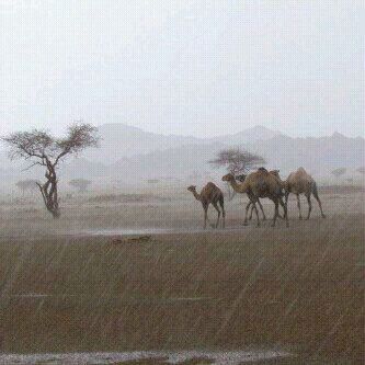 sas2022's profile picture. 