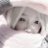 nilfyvu's profile image
