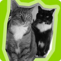 Oscar & Libby's (@oscarandlibbys) 's Twitter Profile