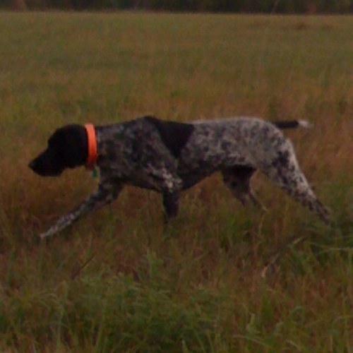 IldoMartins's profile picture. Husband, Father, Educator, Coach