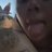 Miranda_aa031's profile image